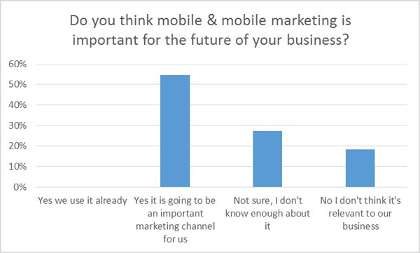 do you think mobile is important