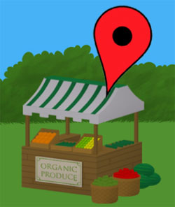 Small business local SEO