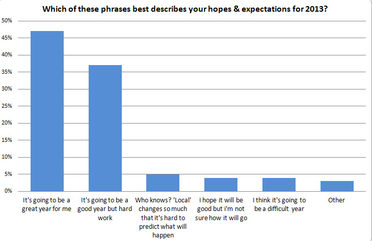 Which-of-these-phrases-best-describes-your-hopes-and-expectations-for-2013