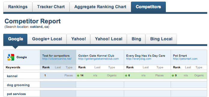 See competitor search rankings