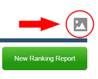 SERP for Local Ranking Report
