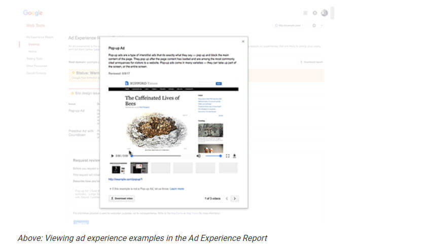 Viewing Your "Ad Experience"