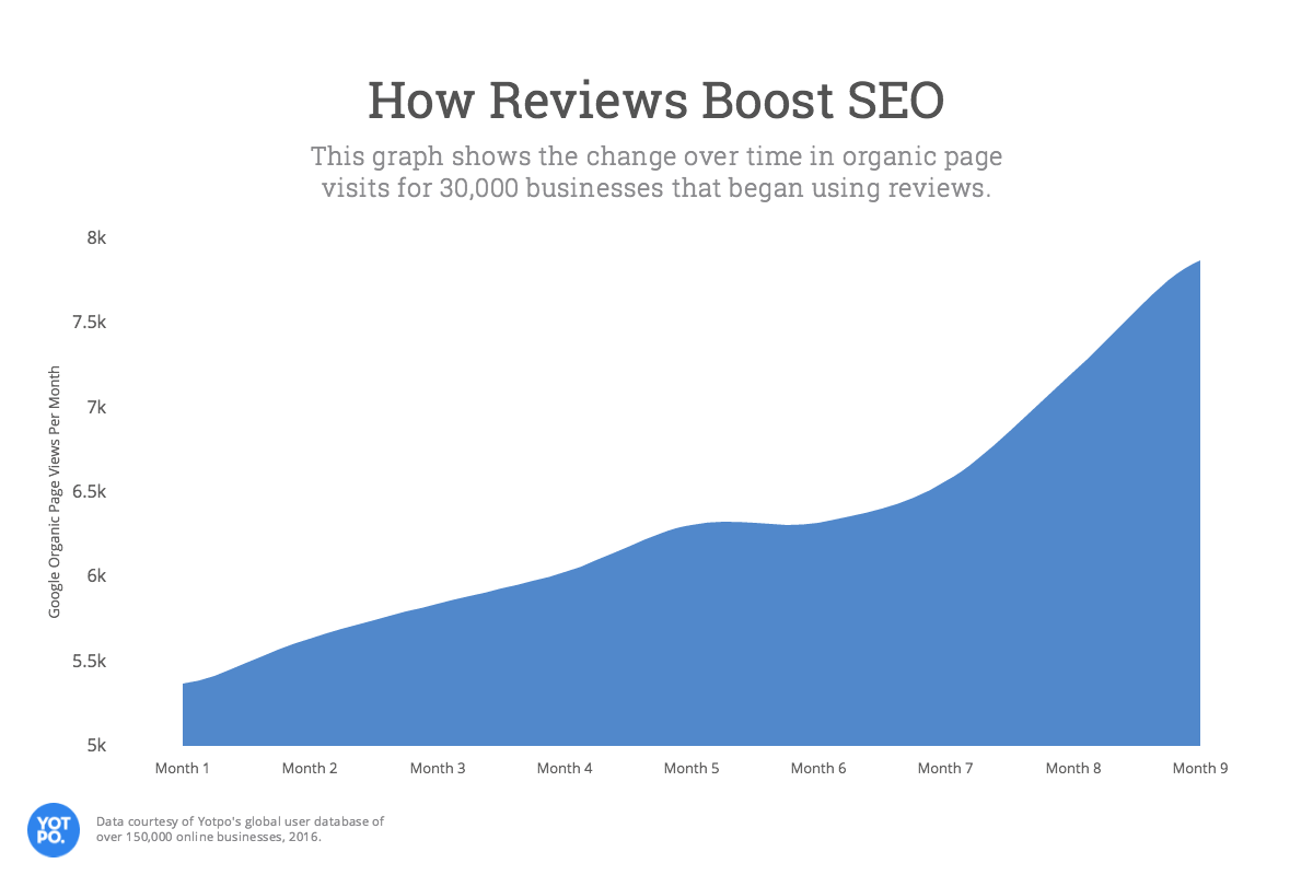 William Jones Seo Review