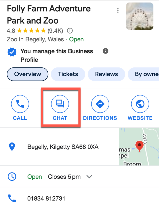 Google Business Profile Messaging and Chat - Chat