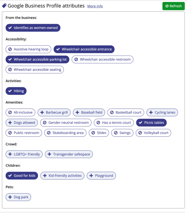 Google Business Profile Attributes - Third Party API