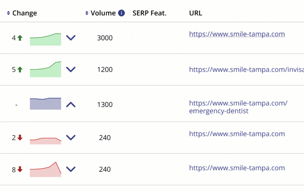 SERP Features