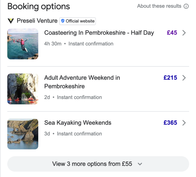 How to Use Google 'Things To Do' - Booking Options in the Operator Booking Module