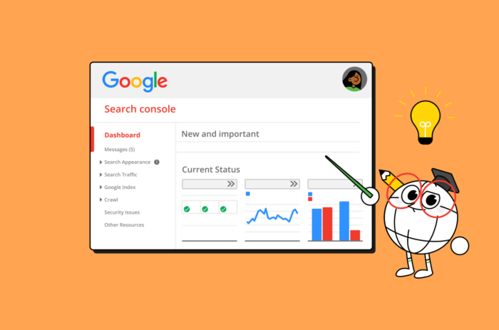 An Advanced Guide to Google Search Console for Local Search